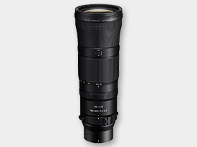 ニッコールZ180~600mmF5.6-6.3 VR
